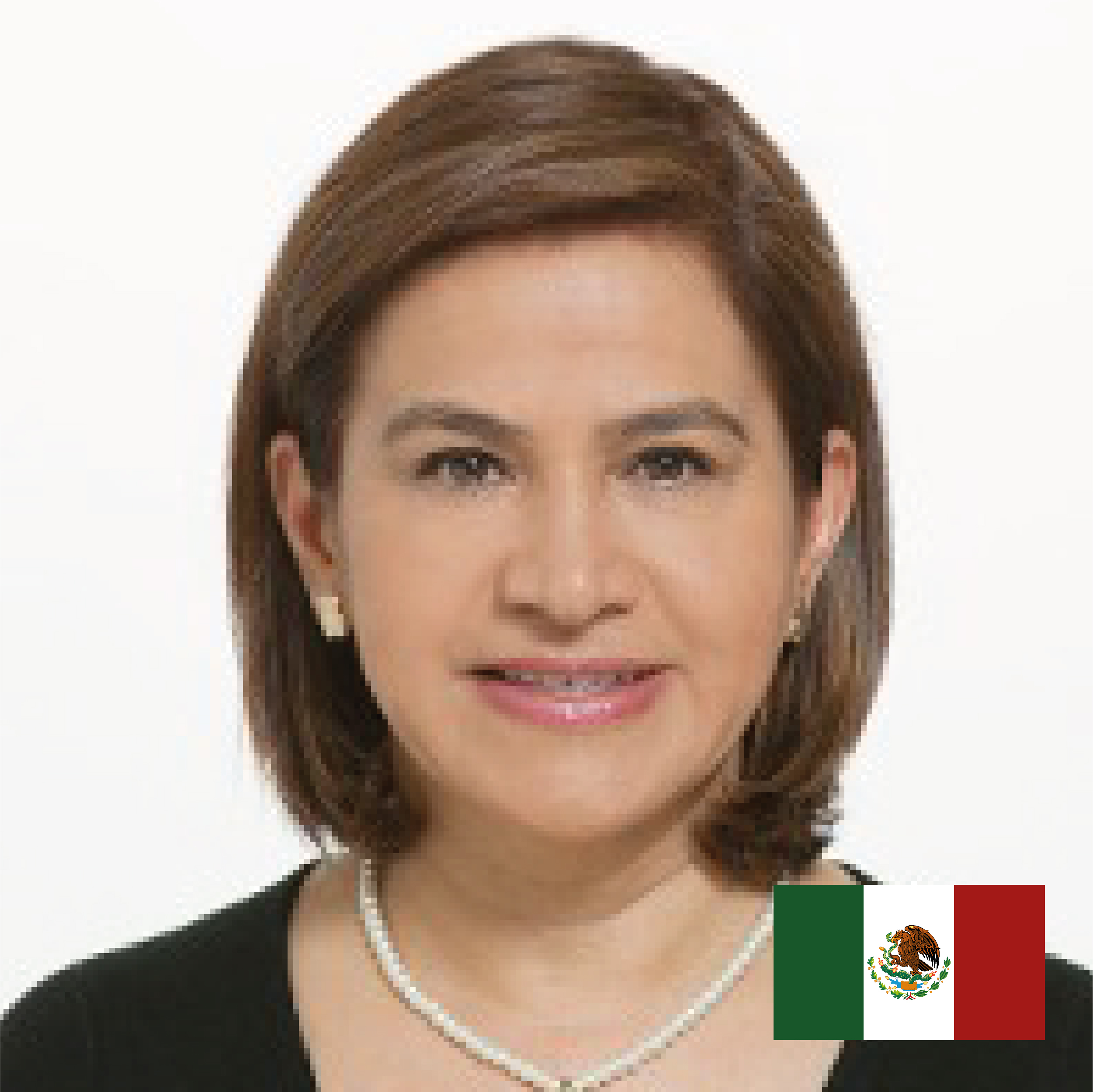 Dra. María Isabel Pizano Damasco